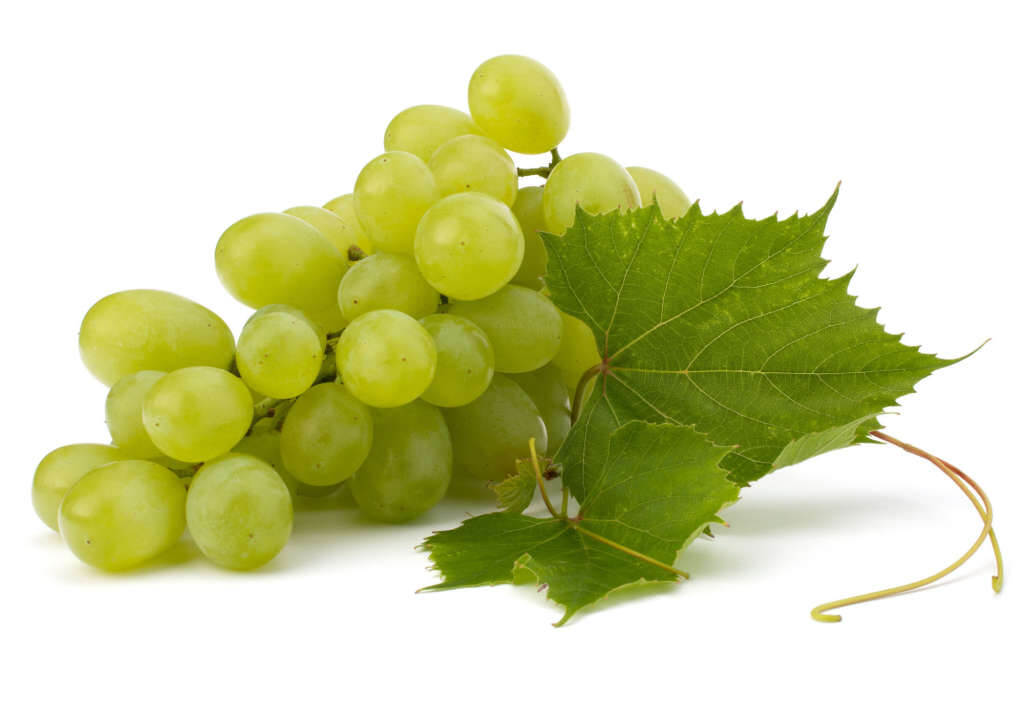 gröna vindruvor