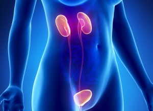 Tio symptom på njursvikt du bör bekanta dig med