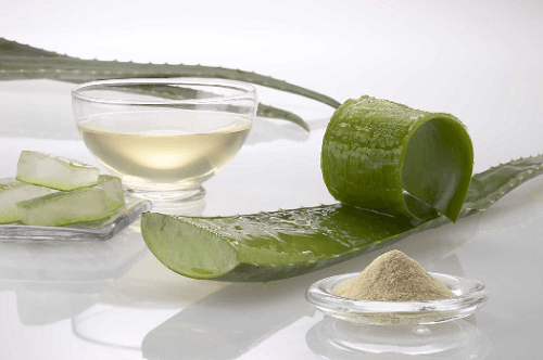 aloe vera