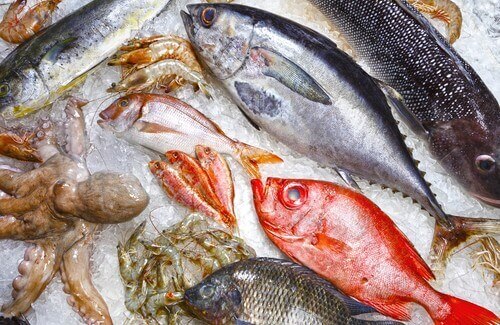 5 olika fiskar du borde undvika att äta