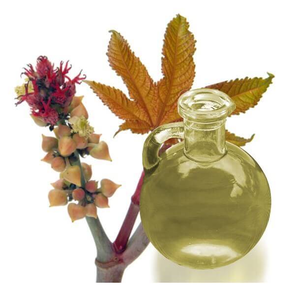 Borsta fransarna med ricinolja