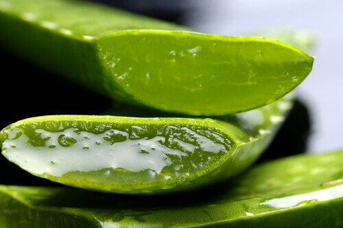 Aloe vera är ett naturligt läkemedel mot åderbråck