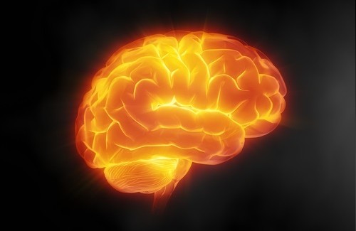 7 tips för att ta hand om din hjärna