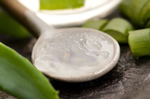 Aloe vera