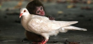 Vikten av beröring för människans välmående