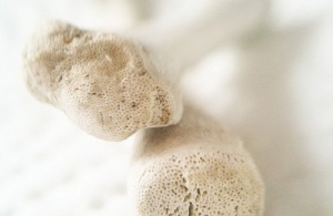 Livsmedel för ett starkt och friskt skelett