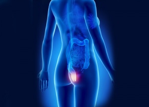 Lär dig att upptäcka hemorrojder i tid