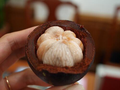 mangosteen - Titti-Nguyen-Ho
