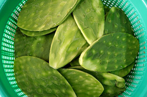 nopal i korg