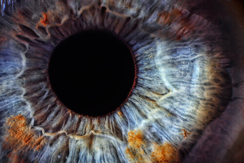 Hur ögonen avslöjar ditt hälsotillstånd