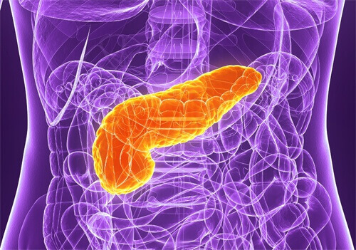 pancreasswe