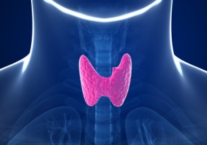 5 vanor som påverkar din sköldkörtel