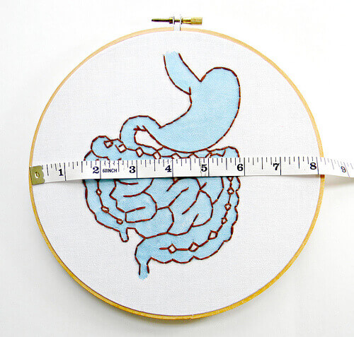 Ta hand om dina tarmar