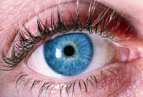 Metod för att upptäcka Alzheimers genom ögonen