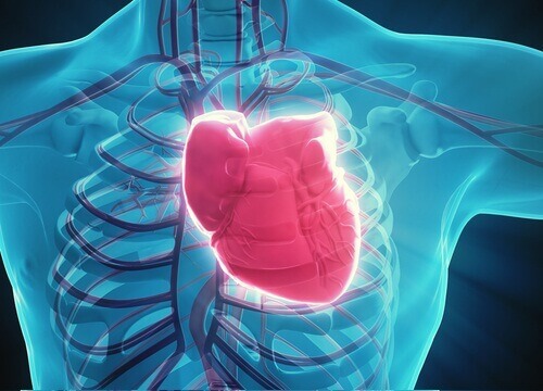 Minskar risken för hjärtsjukdomar
