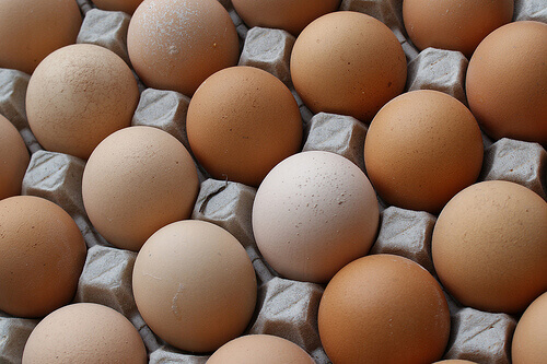 Över 1 biljon ägg produceras varje år
