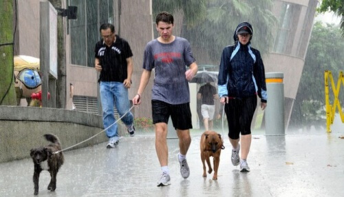 Walking-dog-in-rain-e1433886903503sve