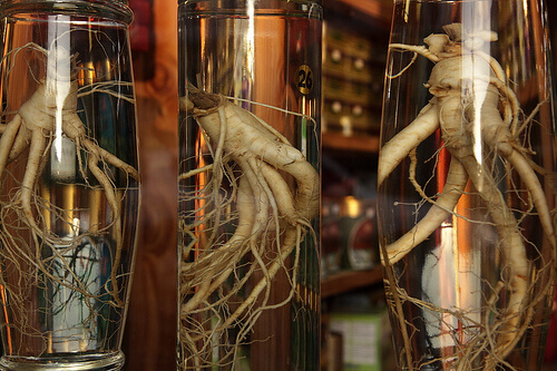Ginseng i flaskor