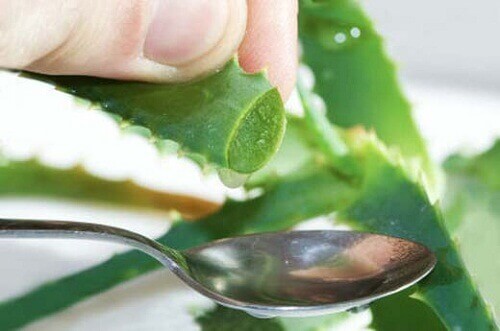 Aloe vera som laxermedel