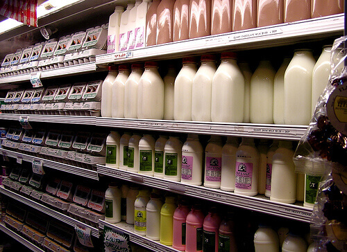 Mjölkprodukter