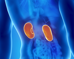 Åtta karakteristiska symptom på njurproblem