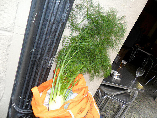 Fänkål är effektivt