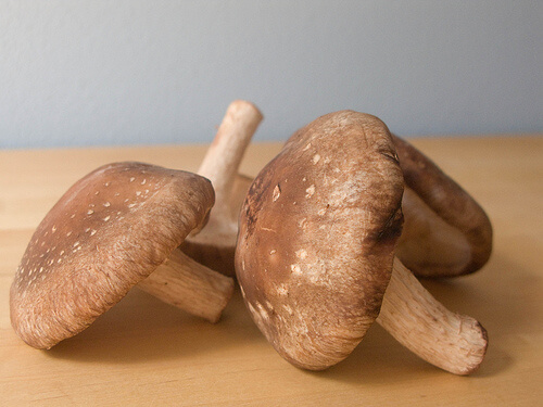 Shiitake