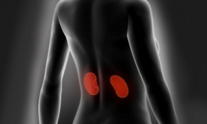 Hur du kan rena och vårda njurarna på bästa sätt