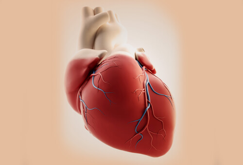 Det vanligaste symtomet innan en hjärtattack är smärta i bröstet