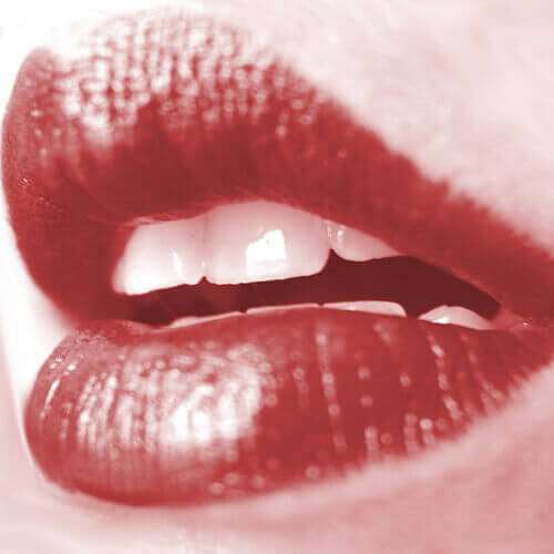 Läppar