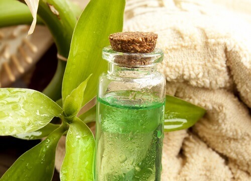 Teträdolja kan hjälpa dig bli av med fotsvamp