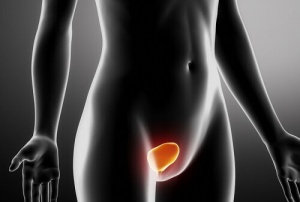 Sätt att behandla och förebygga urinvägsinfektioner