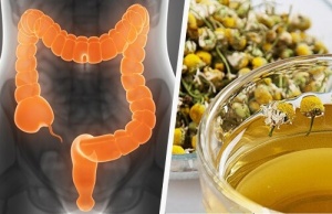Rensa tjocktarmen med medicinalväxter