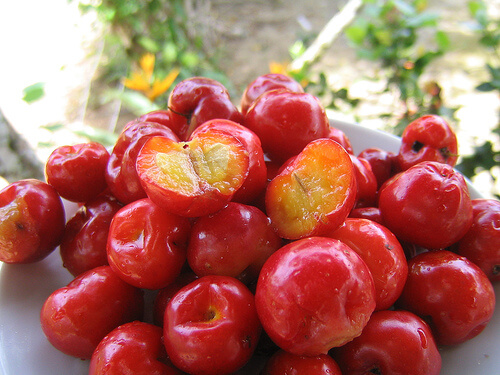Acerola