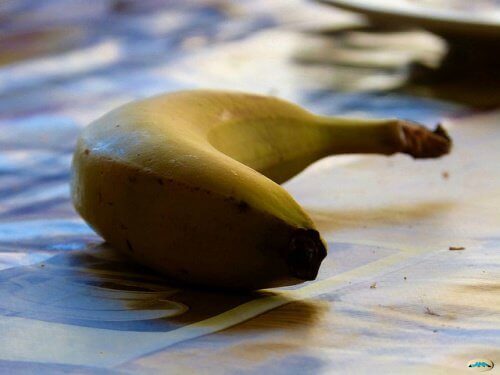 Grön banan