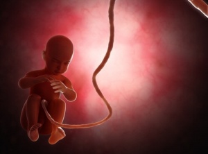 Klimatförändringar kan minska antalet födda pojkar