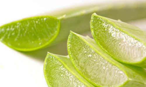 Aloe vera kan motverka fläckar