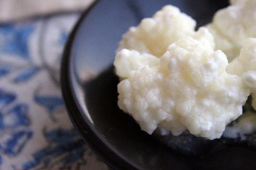 Kefir gynnar tarmen