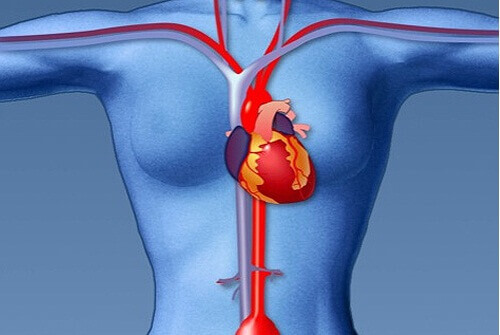 Hur man som kvinna kan förhindra hjärtattacker