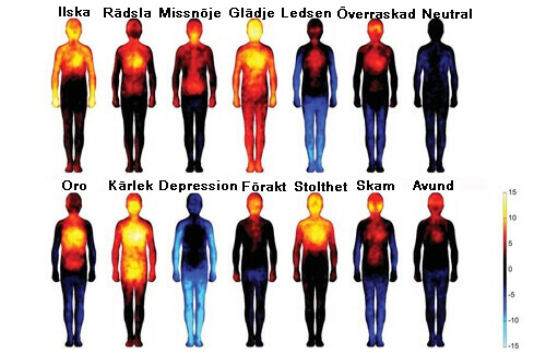 Negativa tankar och känslor skadar kroppen