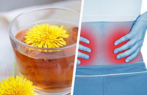 5 enkla och effektiva sätt att avgifta njurarna