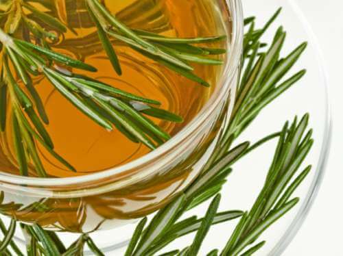 Rosmarin mot ledvärk