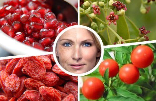 7 antiåldrande hemligheter från Himalaya