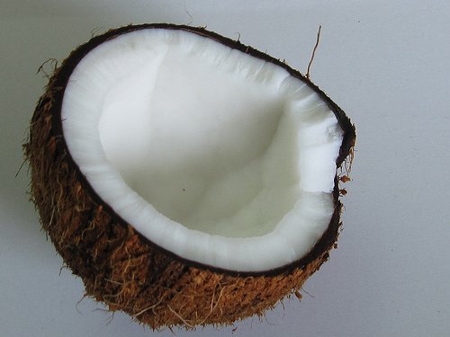 Kokosnöt