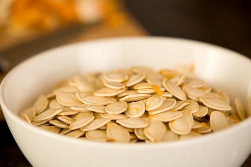 Pumpafrön