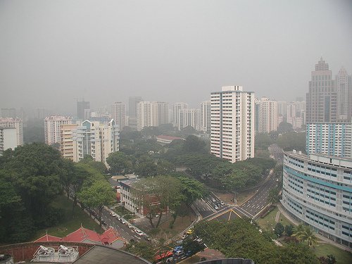 Tungmetaller förgiftar kroppen