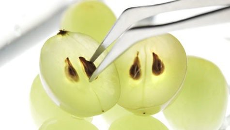 Druvkärnor är en hemlighet bakom vackra ögon