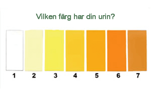 8 typer av urin som säger något om din hälsa
