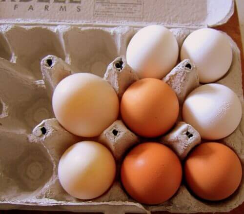 Undvik att äta råa ägg