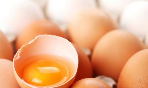 Vad är nyttigast: äggvita eller äggula?
